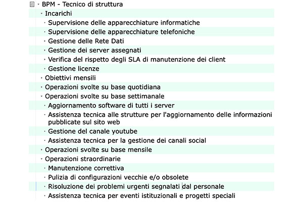 Esempio di una pagina di BPM