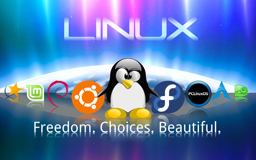 Assistenza Linux